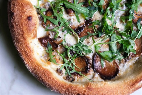 Белые грибы 10072